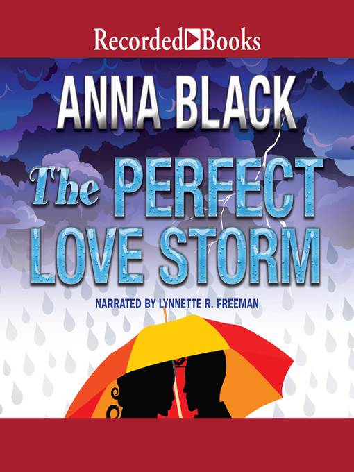 Cover image for The Perfect Love Storm